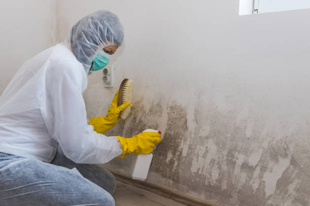 Best Mold Removal for HVAC Installations  in Saranac Lake, NY