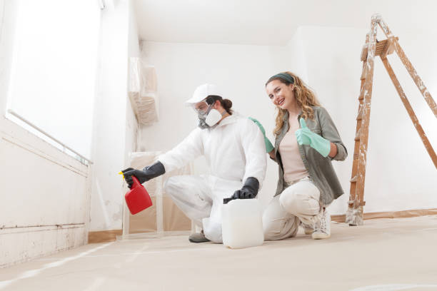 Best Air Quality Testing for Mold Spores  in Saranac Lake, NY