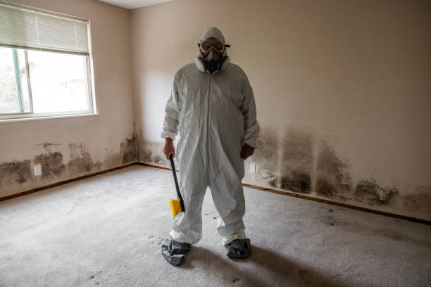 Best Airborne Mold Testing  in Saranac Lake, NY